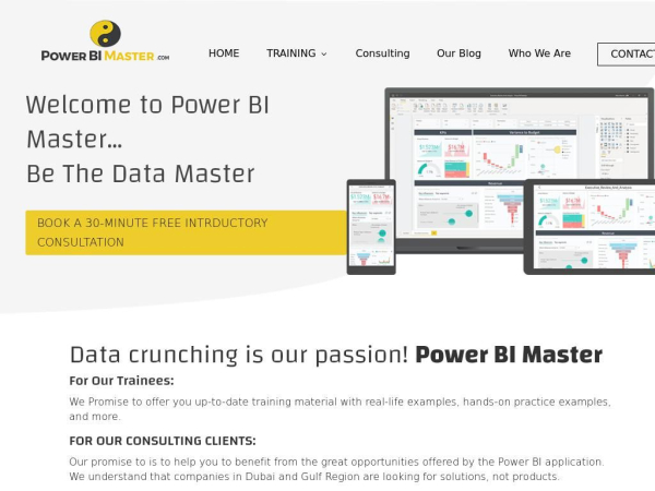 powerbimaster.com